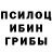 Псилоцибиновые грибы GOLDEN TEACHER poopenfarten