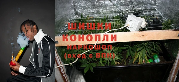 а пвп мука Бородино