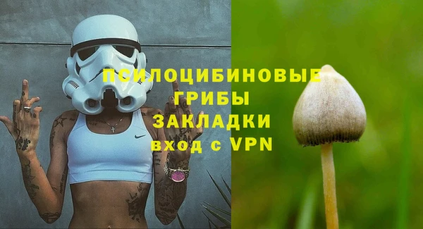 мяу мяу мука Бугульма